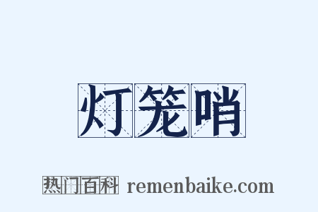 灯笼哨是什么意思的图片